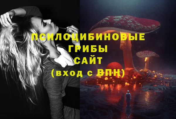 прущий лед Алексеевка