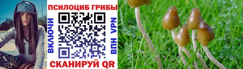 Псилоцибиновые грибы MAGIC MUSHROOMS Галич